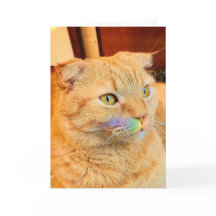 Rainbow Mustache Cartão de Saudação do Vazio Skipp