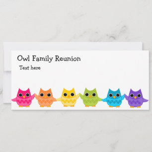 Rainbow Owls