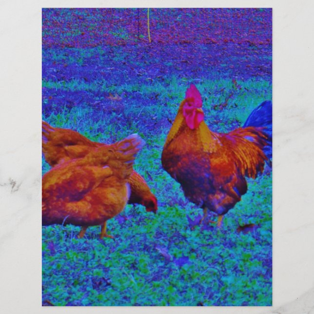 Rainbow Rooster & Hens, Blue Elétrico (Frente)