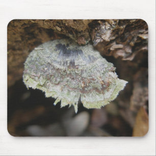 Rainbow Shelf Fungus Mousepad