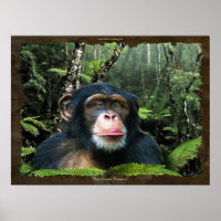 "RAINFOREST DREAMS II" Chimpanzé Art Poster