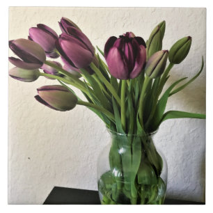 Rainha das Tulipas Noturnas