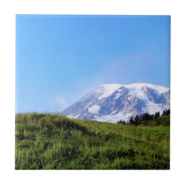 Rainier PDSC230 (Frente)