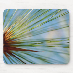Raio da grama Mousepad