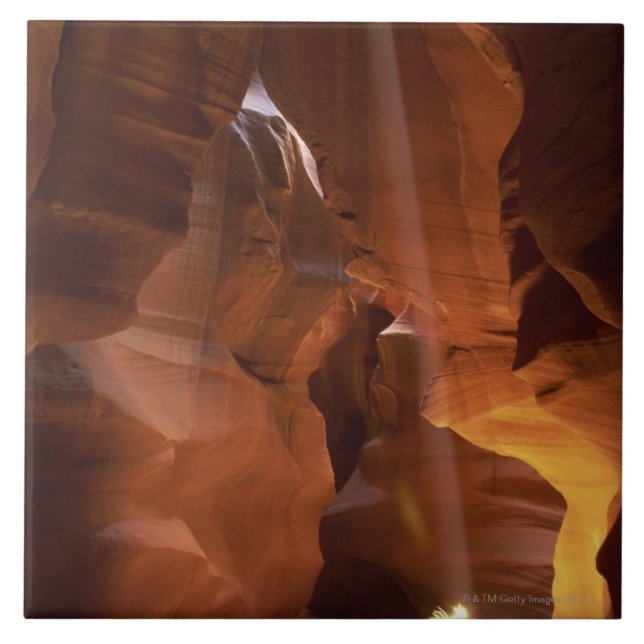 Raio de sol que bate o amaranto no assoalho da (Frente)