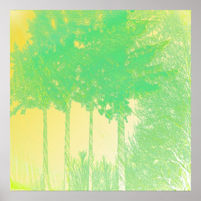 Raios da Esperança 3 Árvores Impressão (Frente)