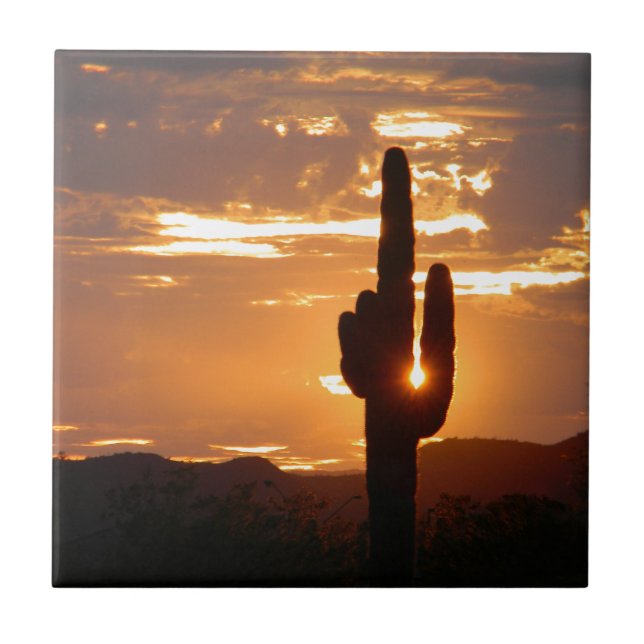 Raios do Saguaro (Frente)