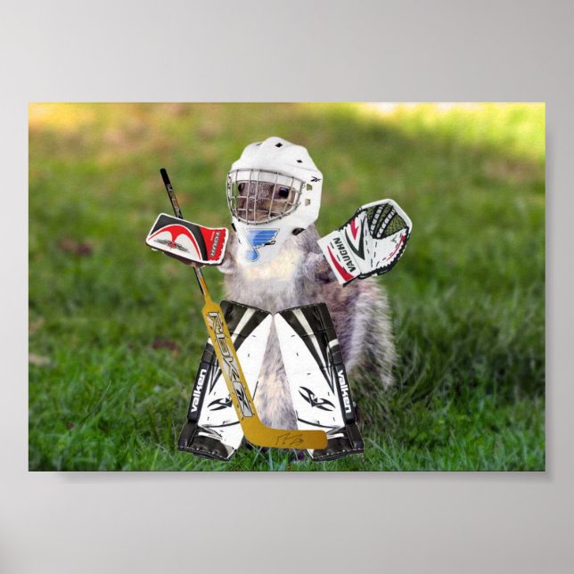 Rally Goalie Poster (Frente)