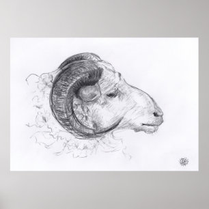 Ram - Desenho Original - Poster