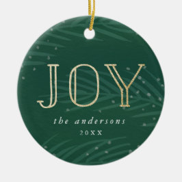 Ramais de inverno | Ornamento de fotos de feriado