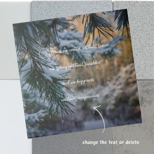 Ramais de pinheiros cobertos por neve