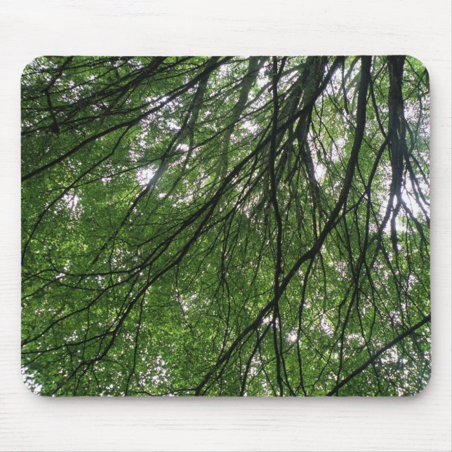Ramais e Folhas de Mousepad (Frente)