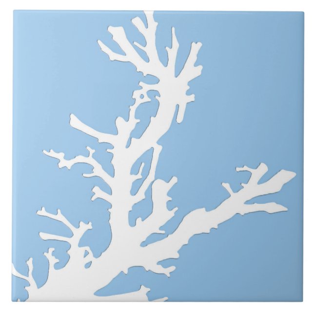 Ramal de coral - branco em azul pálido (Frente)