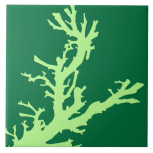 Ramal de coral - limão e verde esmeralda