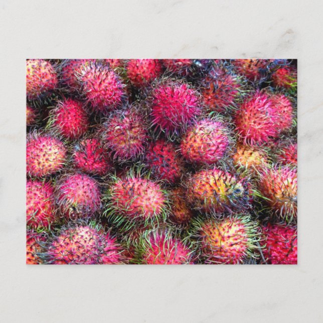 Rambutans cartão postal de foto (Frente)