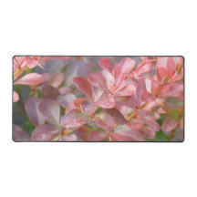 Ramificações bonito rosa