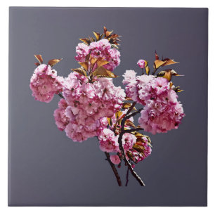 Ramificações do Flor de Cereja Dupla