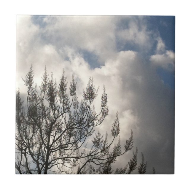 Ramificações nas Nuvens (Frente)