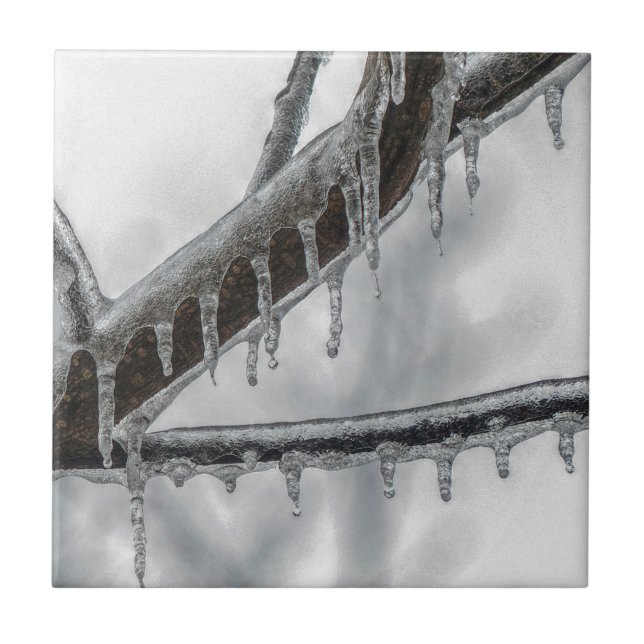 Ramo de Icy (Frente)