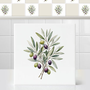 Ramo de oliveira mediterrâneo em aquarela com folh