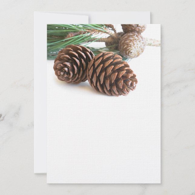 Ramo de pinheiros e cones (Frente)