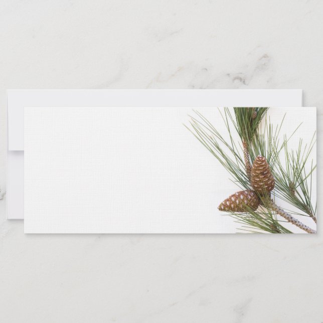 Ramo de pinheiros e cones (Frente)