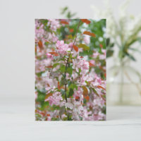 Ramo delicado com macieira de flores