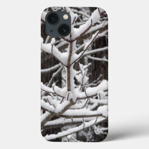 Ramos Coberto de Neve