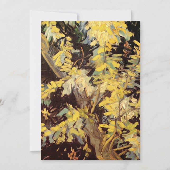 Ramos de Acácia Floridos por Vincent van Gogh (Frente)