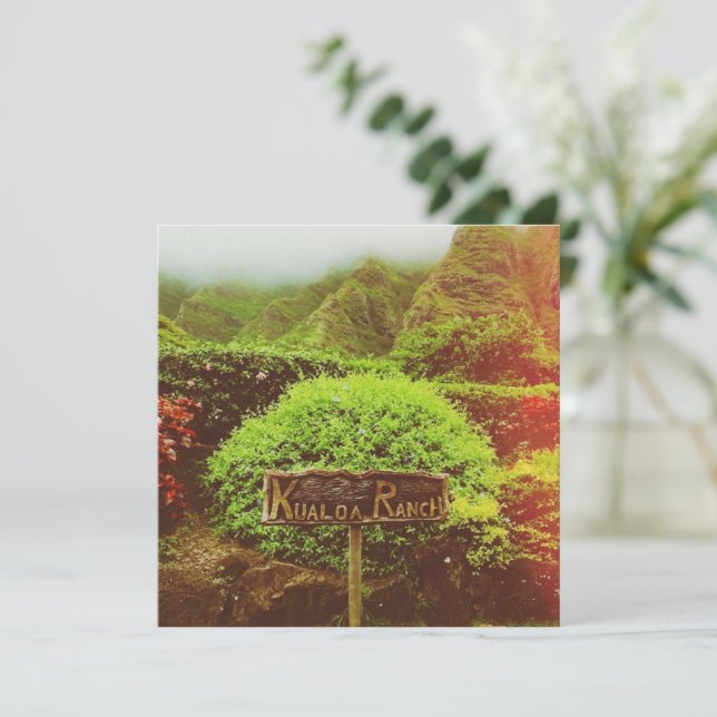 Ranch Kualoa (Em pé/Frente)