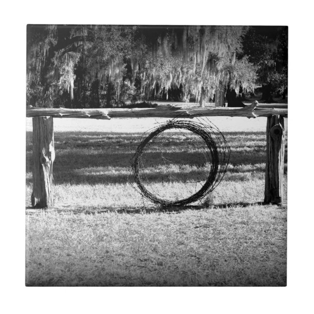 Rancho de gado (Frente)