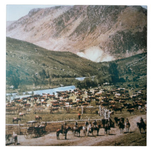Rancho de gado, Colorado, 1899 (foto)