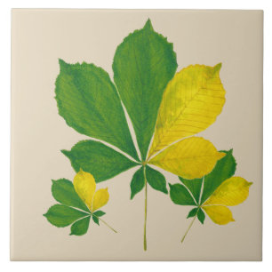 "Rang De Basanti" num Azulejo cerâmico (I)