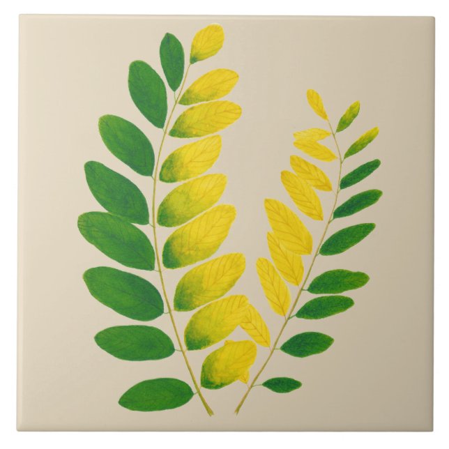 'Rang De Basanti' num Azulejo cerâmico (II) (Frente)