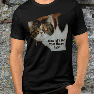Ranzinza Gato Mal-Humorado Não tão Feliz Divertido