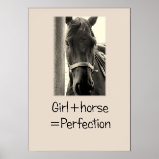 "Rapariga+Cavalo=Perfeição" Poster Sepuia Horse