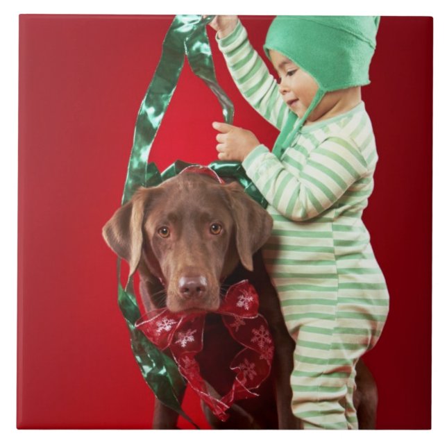 Rapaz pequeno que decora um cão (Frente)