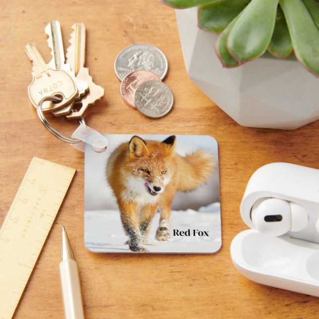 Raposa chaveiro (Mesa)