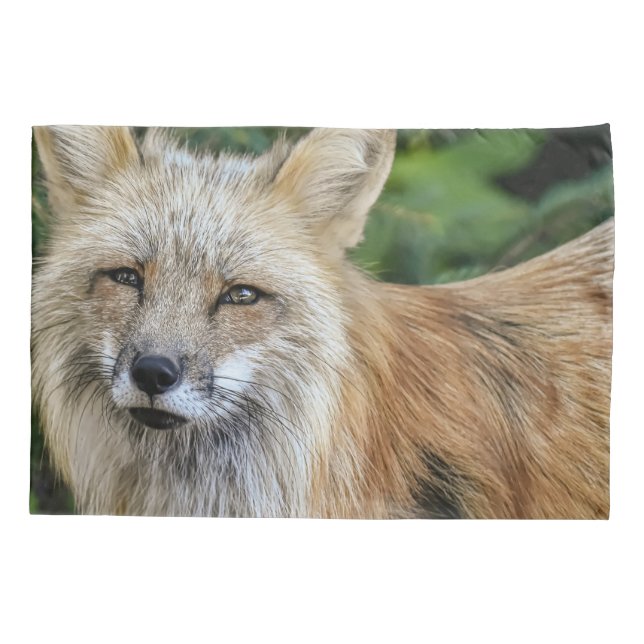 Raposa selvagem (Verso)