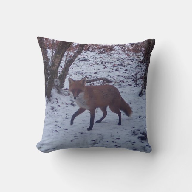 Raposa Vermelha Reversível na Almofada de Neve (Frente)
