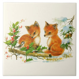 Raposas da Vintagem Fora da Cena de Natal