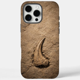 Raptor Claw Fossil