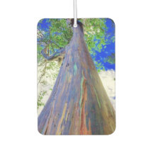 Raqinbow Eucalyptus Air Freshener