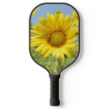 Raquete de Pickleball