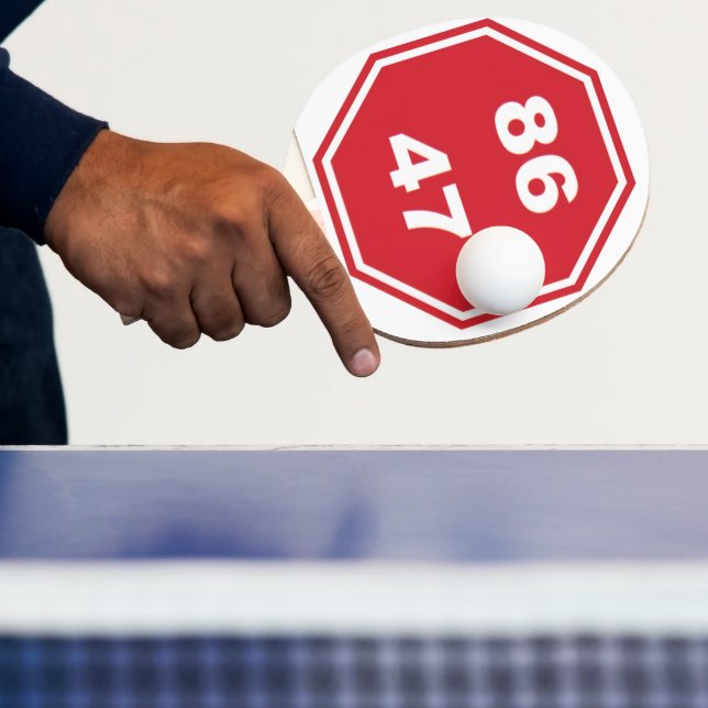 Raquete de Ping Pong (Insitu)