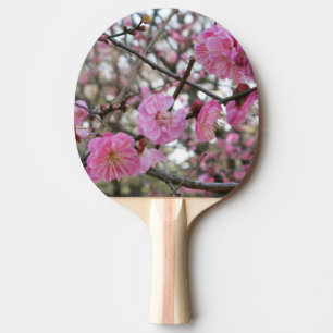 Raquete De Ping Pong 桜 do （cor-de-rosa da flor de cerejeira/Sakura/