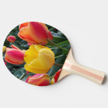 Adicionar Sua Própria Foto