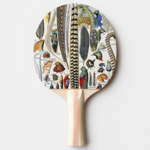 Raquete De Ping Pong Adolphe Millot Dark Academia Vintage Pena de Pássa