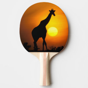 Raquete De Ping Pong África, Quênia, Masai Mara. Girafa (Giraffa
