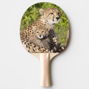 Raquete De Ping Pong África. Tanzânia. Mãe de chita e filhotes 2